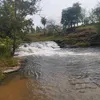 leodapescams