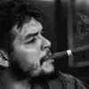 8l.0_l