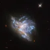 dada6118