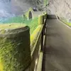 jvlzi3