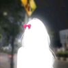userarisha24