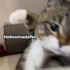 matecitodeuwu