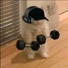 garenz_4