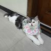 moky_1122