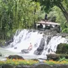 vn.bnh.l029