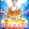 nguyenthitham92