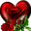 user8858784055536