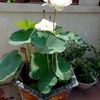 user46675536luongvanthu