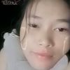 hnin.hnin4558