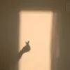 poplikesungjin