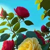 user8462116141815