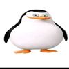 pabloruss2