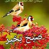 user8498131800802