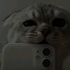tammy.lik