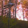 myszon_8