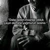 yalan63632
