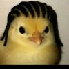 dwiandroidd