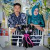 wawan_mass