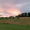 antonfojtik
