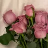 sh_ad_1.2