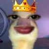 xcxchori