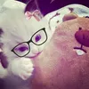 .chaezita29