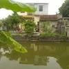 thenv12