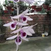 nguyennguyen_021