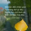 linhhp999999