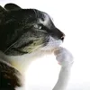 xd_pol4rs