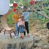 ylanhksor6