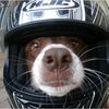 doozer_gr