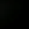 djalmajoca_
