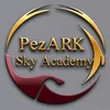 P.S Academy