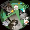 meowguly2468