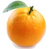 orangesare_oranges