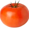 tomatoguy69_