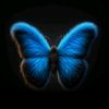 user4058240713144