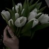 m._ceferovaa