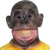 spacemonkeyspacem4