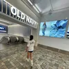 plx_ao