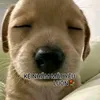 _nguyn.dungg.0210_