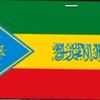 user820631545575akmel