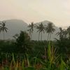 takdisapa.rungkad