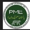 hassanpmln9851