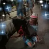 ankafinster