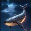 blackorca999