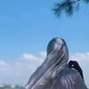 sadia76027