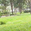 bakhia365