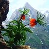kalbimdeki.deniz5